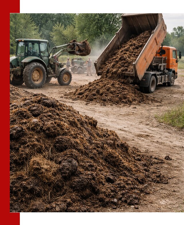 Доставка навоза самосвалами в Пскове для сельхозпотребностей
